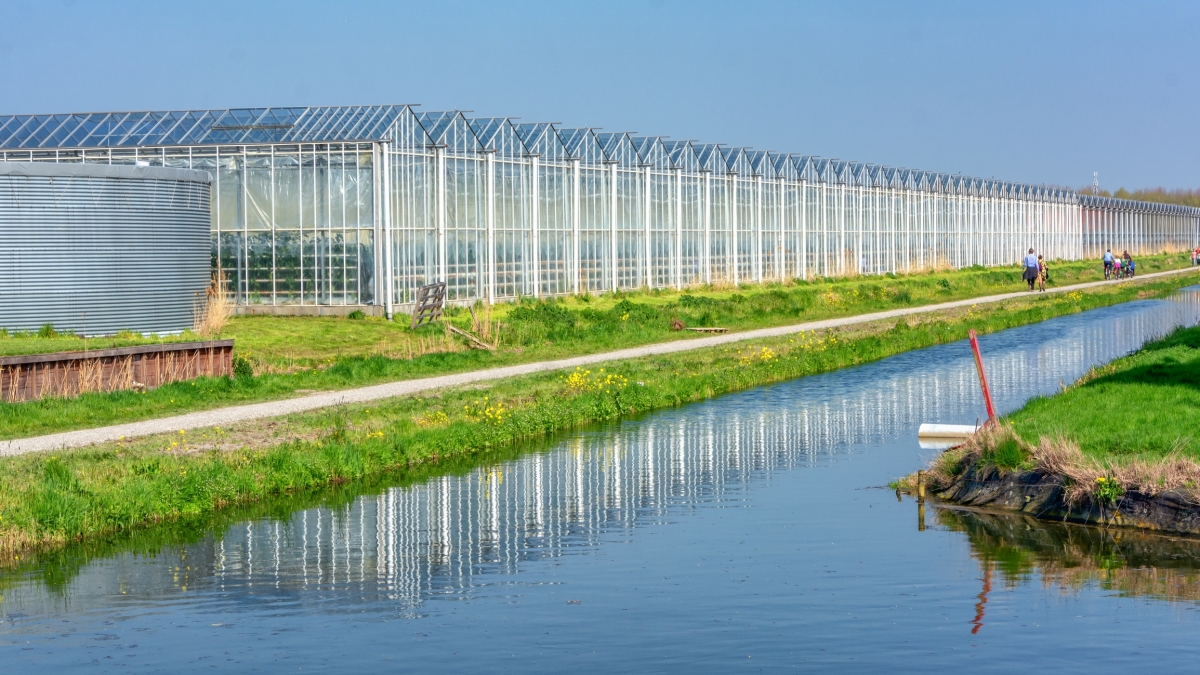 The Outside Of A Large Greenhouse In The Netherlands – AgriBusiness